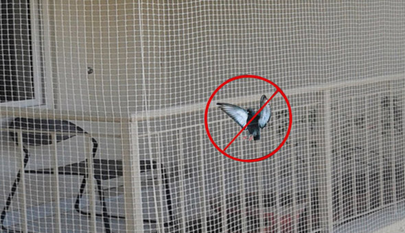 pigeon safety nets hyderabad - Shiva Enterprises