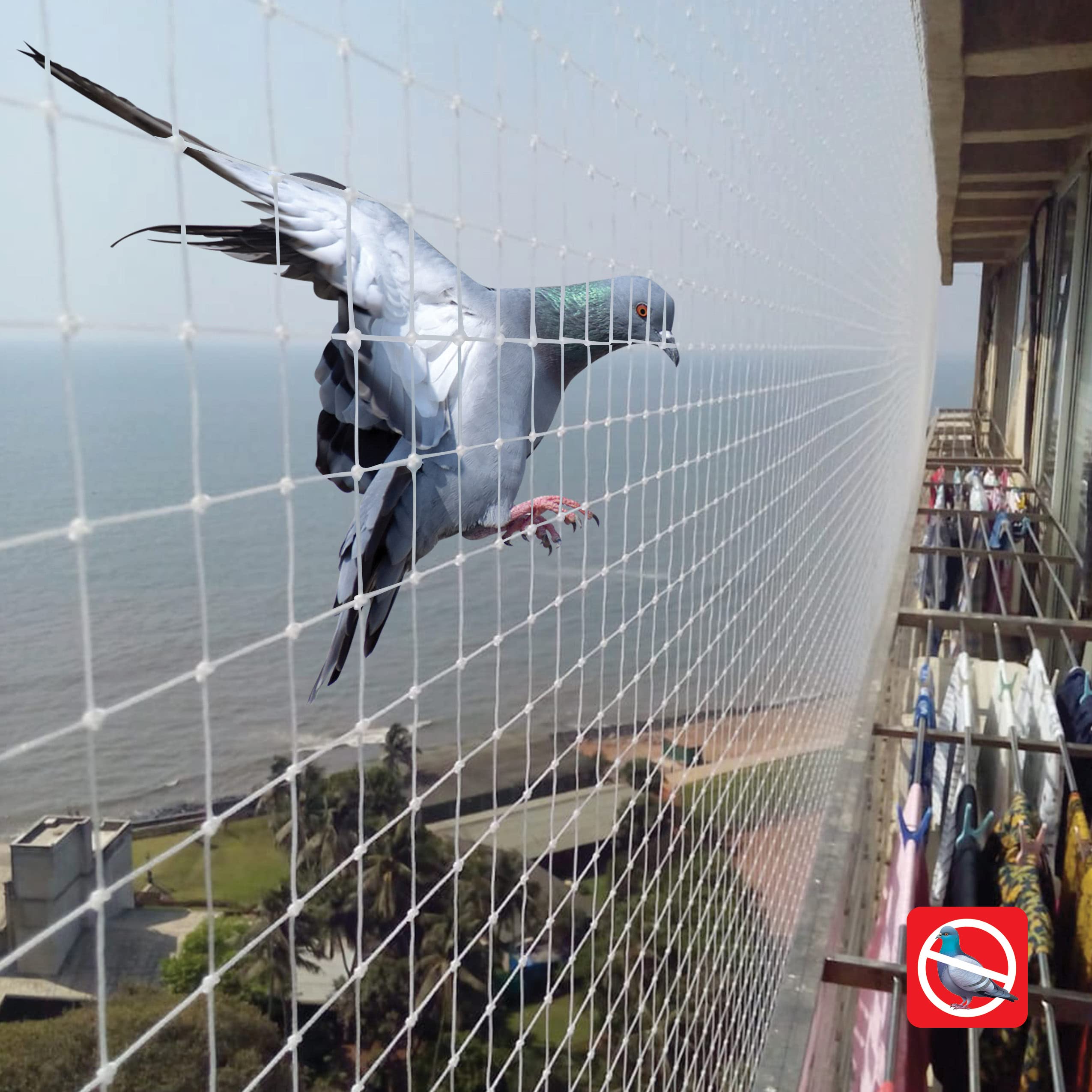 Pigeon Safety Nets