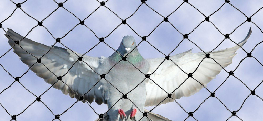 Balcony Safety Nets in Hyderabad